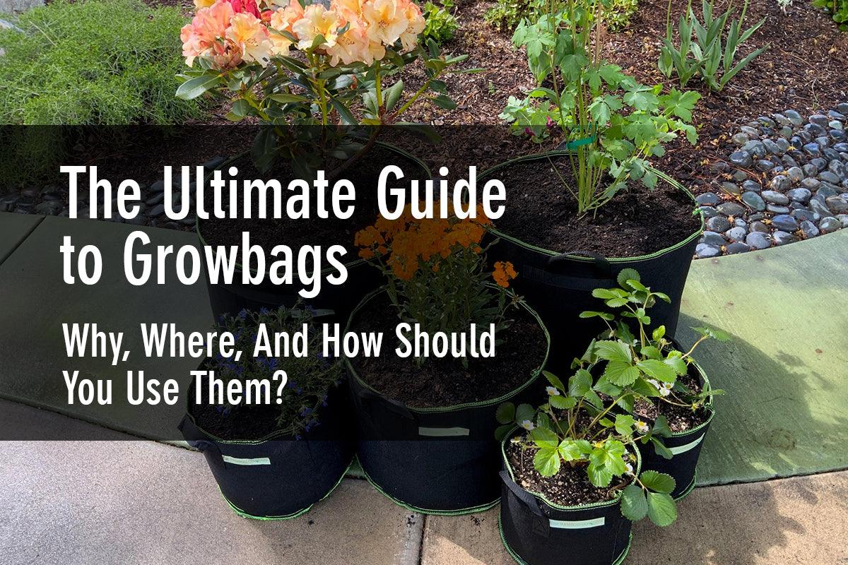 The Ultimate Guide to Using Grow Bags for Your Garden